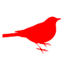 Mavis Communication Services